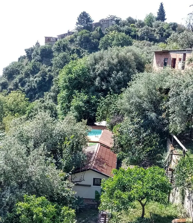 Flat With Panoramic Terrace And Private Pool Mt5X3 Appartement Taormina