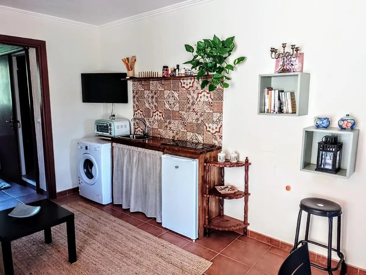 Flat With Panoramic Terrace And Private Pool Mt5X3 Appartement Taormina